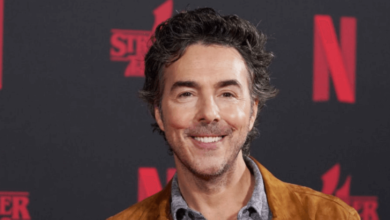 Shawn Levy Net Worth