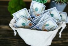 cyrus nikou s financial success