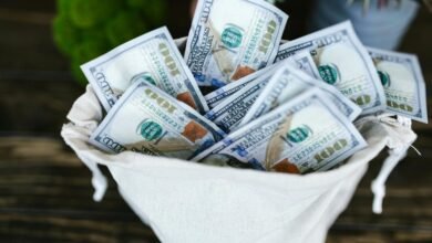 cyrus nikou s financial success