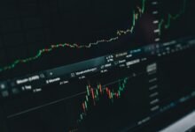 top stock recommendations and insights