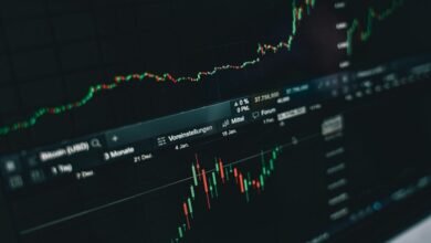top stock recommendations and insights