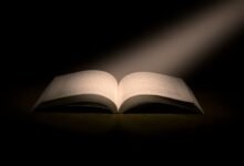 caller insight with numbers